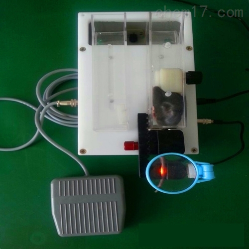 静脉可视小鼠尾注固定器