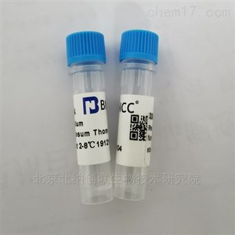 乳酸乳球菌组成型表达质粒pMG36e