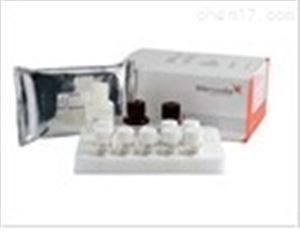 人B-淋巴细胞趋化因子1（BLC-1/CXCL13）ELISA试剂盒