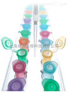 一站式磁珠法动物mRNAOUT