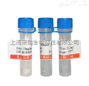 绿如蓝核酸染料（可见光型）