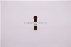 C0080碘化丙啶PI溶液（1mg/ml） 細胞檢測試劑