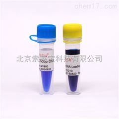 M1900DNA Marker试剂 250 bp DNA Ladder