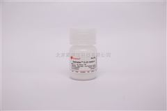 R8300親和層析填料 rProtein G Beads瓊脂糖凝膠親和層析介質(zhì)（純化樹(shù)脂）