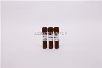 G8140綠色熒光核酸染料（10000×）