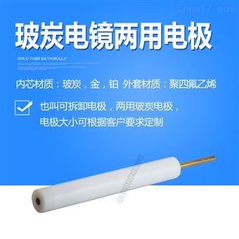 DPT125电镜两用电极