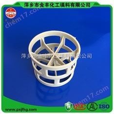 PVDF鮑爾環(huán) 四氟塑料鮑爾環(huán)填料 增強聚丙烯鮑爾環(huán)