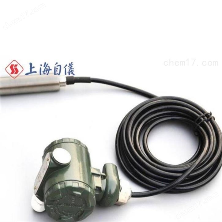DBS503□系列投入式液位變送器