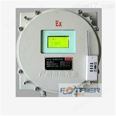 FT-100Ex-O2型防爆式氧氣分析儀